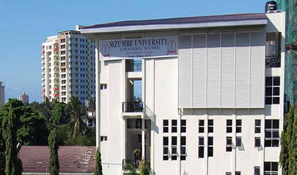 Mzumbe University Masters Programmes 