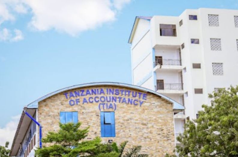 tanzania institute of