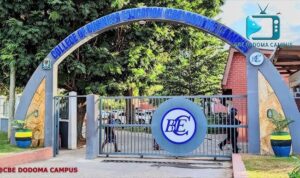 College Of Business Education Dodoma Photo