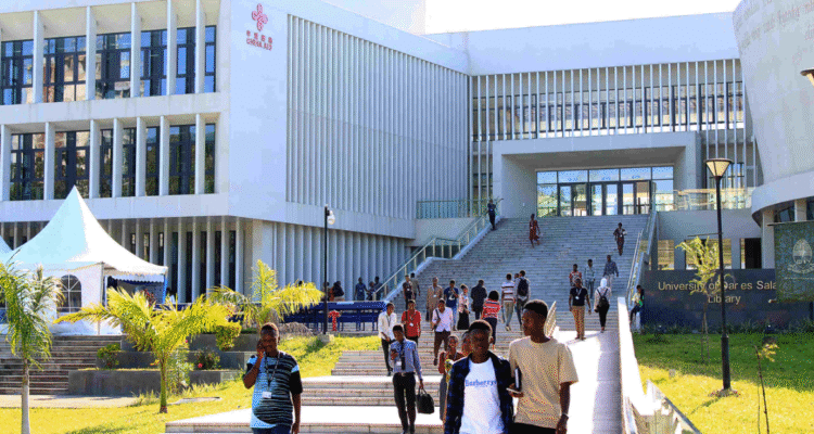 udsm